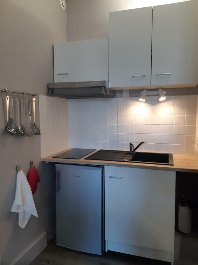 Le Vaillant, Appartement T2, Proche Gare, Hyper-Centre Et Marais, 1 A 2 Personnes, Wifi Бурж Екстер'єр фото